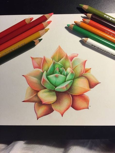 Realistic Flower Drawing, Cute Flower Drawing, Simple Flower Drawing, Easy Flower Drawings, Prismacolor Art, Beautiful Flower Drawings, Art Sketches Doodles, Doodle Art Journals, Colored Pencil Artwork