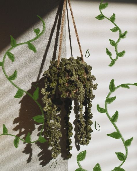 🪴this hanging plant has been one of my favorite decor pieces in my apartment🌿! - - - - #crochet #knit #autumnacrochets #yarn #aesthetic #pinterest #artist #blackcrocheter #knitwear #fiberartist #crochetfashion #cutecrochet #explorepage #artdiary #green #plant #crochetplant #hangingplant #crochetdecor Crochet Ceiling Hanging, Crochet Hanging Plants, Dorm Planning, Yarn Aesthetic, Plant Vines, Crochet Hanging, Crochet Leaf Patterns, Decor Crochet, Crochet Plant