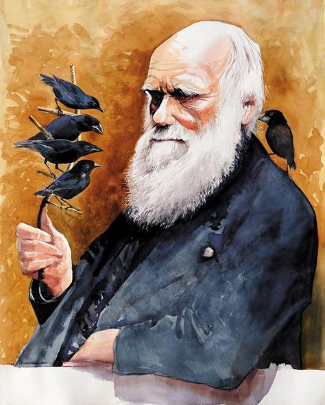 Charles Darwin: The Brilliant Plodder | by David Quammen | The New York Review of Books Origin Of Species, Conservation Biology, Historical People, Natural Selection, Fish Drawings, Charles Darwin, School Art Projects, Science Art, Art Themes