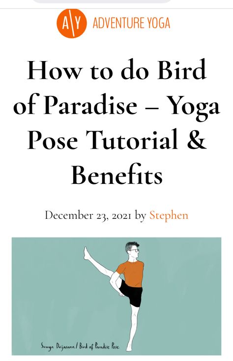 "Want to learn more about Bird of Paradise pose or Svarga Dvijasana? In this post, I share the benefits of Bird of Paradise, a complete pose breakdown, contraindications, myths, a step-by-step video, modifications and more." ~Stephen Bird Of Paradise Yoga, Bird Of Paradise Pose, Pose Tutorial, Yoga Pose, Yoga Sequences, Bird Of Paradise, Yoga Benefits, Birds Of Paradise, Yoga Poses