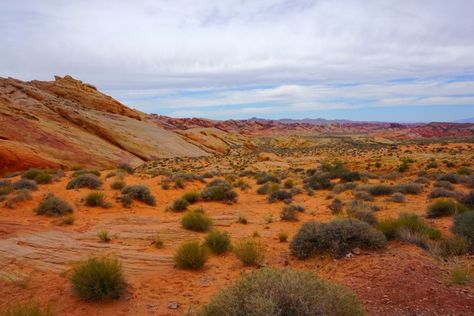 Las Vegas On A Budget, Vegas On A Budget, Desert Photos, Things To Do Outside, Las Vegas Desert, California Roadtrip, Valley Of Fire State Park, Las Vegas Vacation, Vegas Vacation