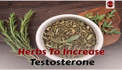 25 Foods to boost testosterone up to 25% - aestheticbeats Ways To Increase Testosterone, Testosterone Boosting Foods, Increase Testosterone Levels, Zinc Rich Foods, High Testosterone, Boost Testosterone, Increase Testosterone, Testosterone Booster, Testosterone Levels