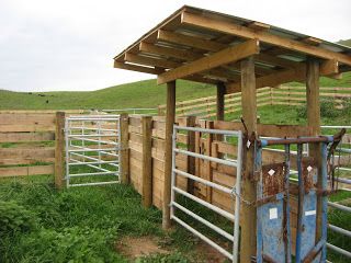 A blog about farming and ranching in Southwest Virginia. Training horses, riding horses, showing horses, raising cattle, beef cattle and goats. Cattle Kraal Ideas, Cattle Chute Designs, Cattle Feedlot Design, Cattle Handling Systems, Cattle Working Pens Design, Cow Pen Ideas, Cattle Corrals Design, Cattle Barn Designs, Show Cattle Barn