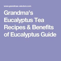 Grandma's Eucalyptus Tea Recipes & Benefits of Eucalyptus Guide Benefits Of Eucalyptus, Cholesterol Friendly Recipes, Home Pest Control, Teas Recipes, Herbal Tea Garden, Fennel Tea, Lemon Balm Tea, Cockroach Control, 5 Million Dollars