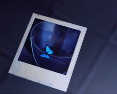 Life Is Strange Polaroid, Life Is Strange Butterfly, Butterfly Symbolism, Lis 2, Life Is Strange Wallpaper, Dontnod Entertainment, Life Is Strange 2, Arcadia Bay, Life Is Strange 3