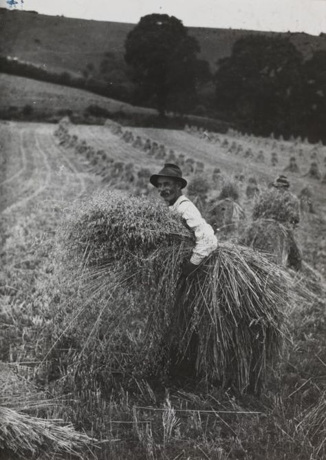 Mice And Men, Dust Bowl, Farm Photography, San Francisco Museums, Farm Photo, National Photography, Of Mice And Men, Gelatin Silver Print, Silver Print