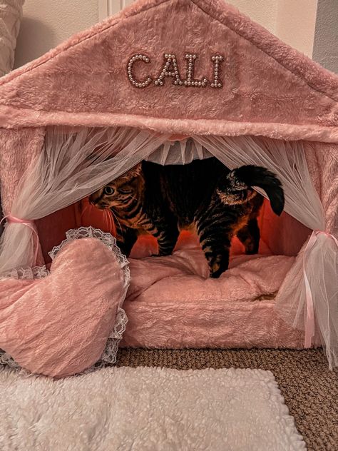 Fancy Cat Bed, Princess Cat Bed, Aesthetic Cat Bed, Cat Palace, Princess Dog Bed, Luxury Dog House, Big Dog Beds, Cat Queen, Diy Cat Bed