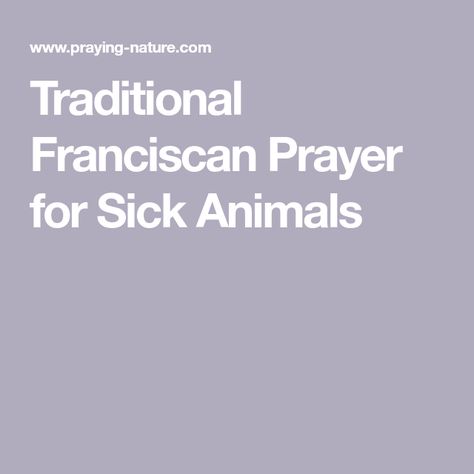 Traditional Franciscan Prayer for Sick Animals Prayer For Sick Dog, St Anthony Prayer, Prayer For Health, Sick Dog, Saint Anthony, Prayers For Healing, Animal Companions, Healing, Pet