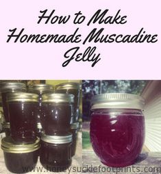 Muscadine Grape Jelly Recipe, How To Make Muscadine Jelly, Muscadine Recipes, Muscadine Recipe, Homemade Jellies, Honeysuckle Jelly, Muscadine Jelly, Muscadine Vine, Muscadine Grapes