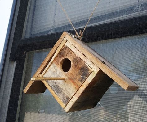 This is a See Thru Birdhouse I made with up-cycled pallets and an old CD case. After completion, you'll have a sweet birdhouse that will let you see the activity inside!I built this birdhouse without glue, because I read it can take up to a year for birds to move in due to the smell, and I just didn't want to wait that long!Here's what you'll need:-pallet planks-saw-drill-hole saw kit-hammer-nails-ruler-pen Bird Houses Ideas Diy, Birdhouses Rustic, Bird House Feeder, Woodworking Kits, Bird House Plans, Bird House Kits, Birdhouse Designs, Into The Wood, Bird Houses Diy