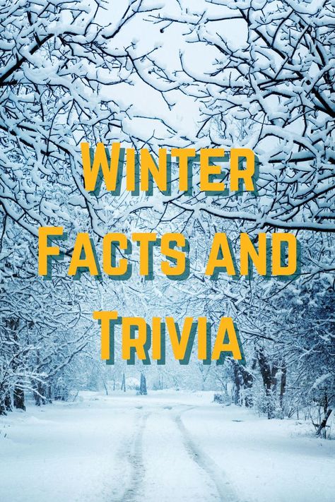 January Trivia, Winter Trivia, Activities For Elderly, Activities List, Leadership Ideas, First Day Of Winter, Start Of Winter, Elderly Activities, Senior Center