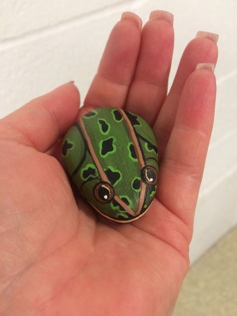 Rock Frog, Turtle Painted Rocks, Rock Crafts Diy, Frog Rock, Turtle Rock, Garden Rock Art, Rock Aesthetic, Diy Rock Art, Painted Rock Animals