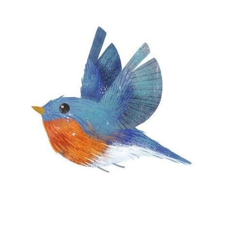 Bird Artists, Eastern Bluebird, Animal Doodles, Bird Pictures, Bird Drawings, Pretty Birds, Bird Illustration, Little Birds, Illustration Character Design