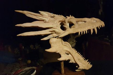 Dragon skull Ethwingate by shadeslaire on DeviantArt Animal Skeleton, Dragon Anatomy, Super Sculpey, Skull Reference, Dragon Skull, Animal Skeletons, Vulture Culture, Sculpey Clay, Bone Art