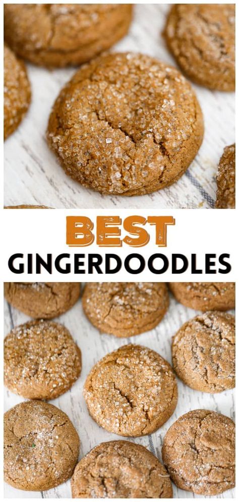 These super-soft Gingerdoodles Cookies are going to be a hit over the holidays! They're warm and comforting, with great flavors of toasty, warm cinnamon and ginger spices, brown sugar and molasses flavor. These Gingerdoodles are great for holiday parties, cookie exchanges and cookie trays - festive cookies to make with the kids. Get the full recipe HERE and learn how to make perfect chewy ginger cookies every time Cookie Recipes Thanksgiving, Spice Cookie Recipes, Soft Ginger Cookies, Chewy Ginger Cookies, Ginger Cookie Recipes, Soft Cookie Recipe, Cookies To Make, Ginger Molasses Cookies, Thanksgiving Cookies