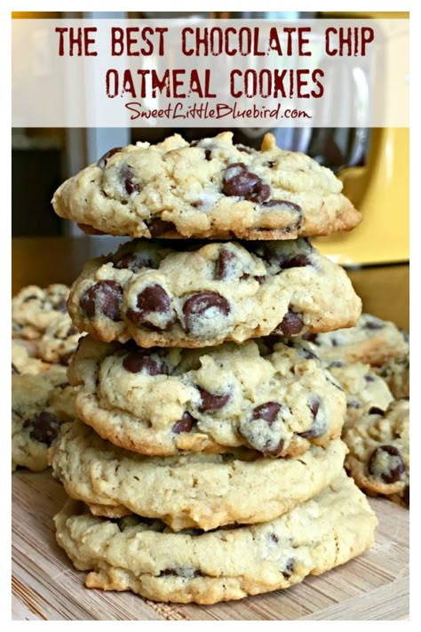 Cookie Perfection, Oatmeal Chocolate Chip Cookie, Oatmeal Chocolate Chip Cookie Recipe, Chocolate Chip Oatmeal Cookies, Chocolate Chip Granola Bars, Oats Chocolate, Biscuits Diététiques, Oatmeal Chocolate Chip, Best Chocolate Chip