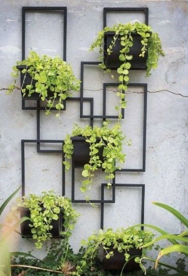 Glass terrariums filled with small plants, pebbles, and moss can be hung using transparent strings or delicate chains. Wall Planters Outdoor, Patio Wall Decor, Hanging Plants Outdoor, Wall Plant Holder, Metal Wall Planters, Indoor Plant Wall, Hanging Planters Indoor, Vertical Garden Wall, Hanging Plant Wall