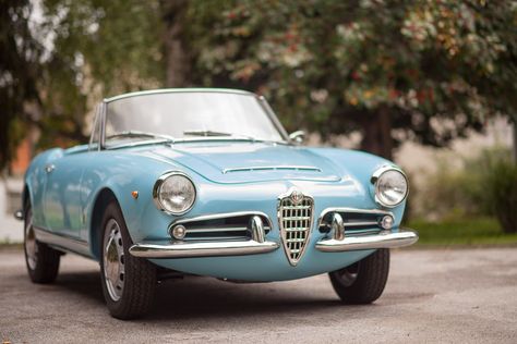 Alfa Giulia, Alfa Romeo Giulia, Drive In Movie, Pretty Cars, Engine Types, Alfa Romeo, Pale Blue, Colorful Interiors, Classic Design