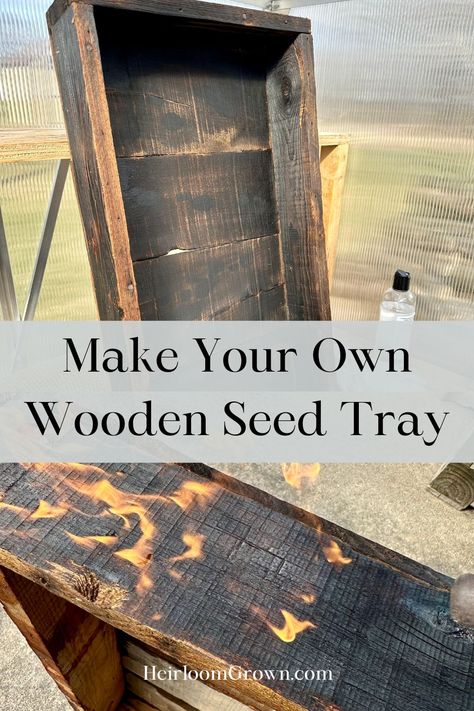 Make this DIY wooden seed tray. The non-toxic burnt finish protects the tray from water making it perfect for your greenhouse! A great way to start seeds plastic free. Merry Gentlemen, Seed Raising, Wooden Trays, Garden Fun, Wooden Greenhouses, Reno Ideas, Wood Tray, Seed Starting, Wooden Tray