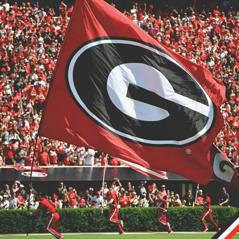 Uga Wallpapers, Uga Gameday, Uga Aesthetic, University Of Georgia Aesthetic, Georgia State University Aesthetic, Georgia Bulldogs Aesthetic, Georgia Football Aesthetic, Uga College Aesthetic, Georgia Bulldog Aesthetic