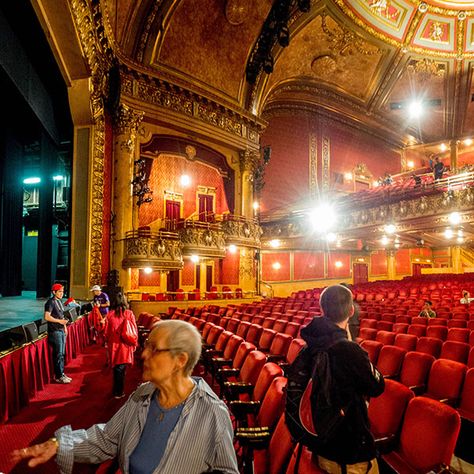 Elgin Winter Garden Theatre Homepage | The Elgin and Winter Garden Theatre Winter Garden Theatre, Eaton Centre, Yonge Street, Event Producer, Historic Architecture, Rock Of Ages, Stand Up Comedians, Rooftop Garden, Group Tours