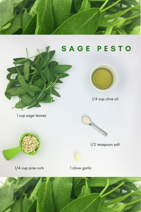 Minty Desserts, Sage Pesto, Lectin Free Recipes, Sage Recipes, Coconut Milk Ice Cream, Sauce Pesto, Pesto Recipes, How To Make Guacamole, Plant Paradox