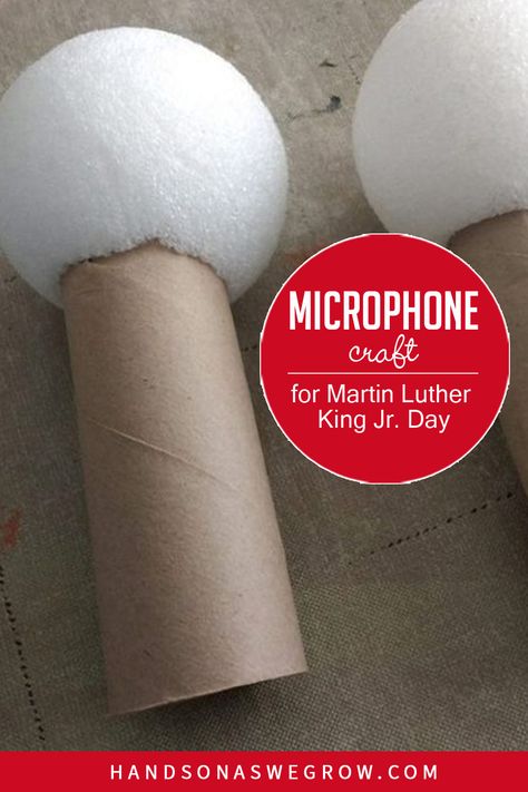 Microphone Craft, Paper Flowers Backdrop, Paper Crafts Ideas, Instrument Craft, Flowers Backdrop, Martin Luther King Jr Day, Disco Party Decorations, Music Crafts, Toilet Paper Rolls