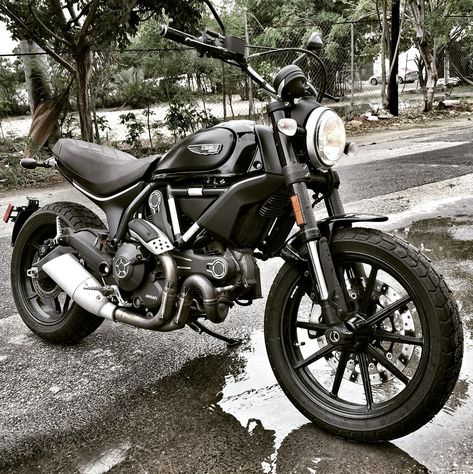 Royal Enfield Scrambler, Ducati Scrambler Icon, Custom Ducati, Scrambler Icon, Ducati Cafe Racer, Scrambler Custom, Triumph Scrambler, Motorcycle Aesthetic, Dirt Bike Girl