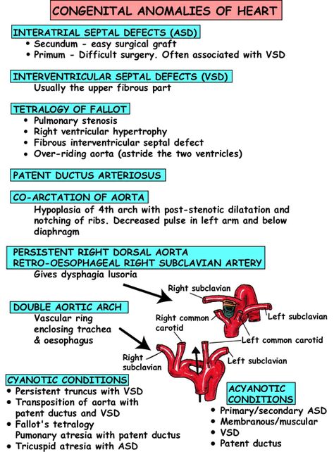 pediatric cardiac anomalies image | Heart Anomalies http://www.instantanatomy.net/thorax/areas/heart ... School Necessities, Child Nursing, Ob Nursing, Nursing Mnemonics, Cardiac Nursing, Nursing School Survival, Respiratory Therapy, Nursing School Studying, Nursing School Tips