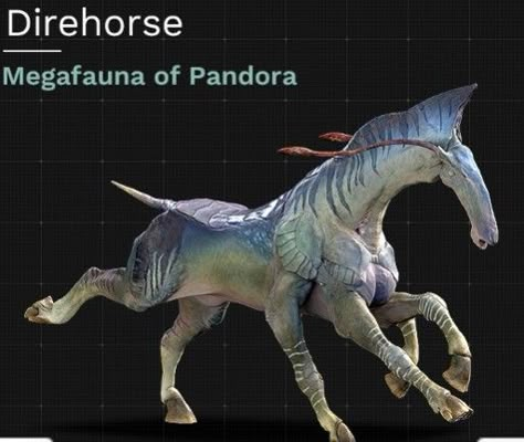 Pandora Animals Avatar, Avatar Direhorse, Avatar Animals Pandora, Avatar Horse, Pandora Creatures, Avatar Creatures, Ikran Avatar, Avatar Blue, Pet Anime