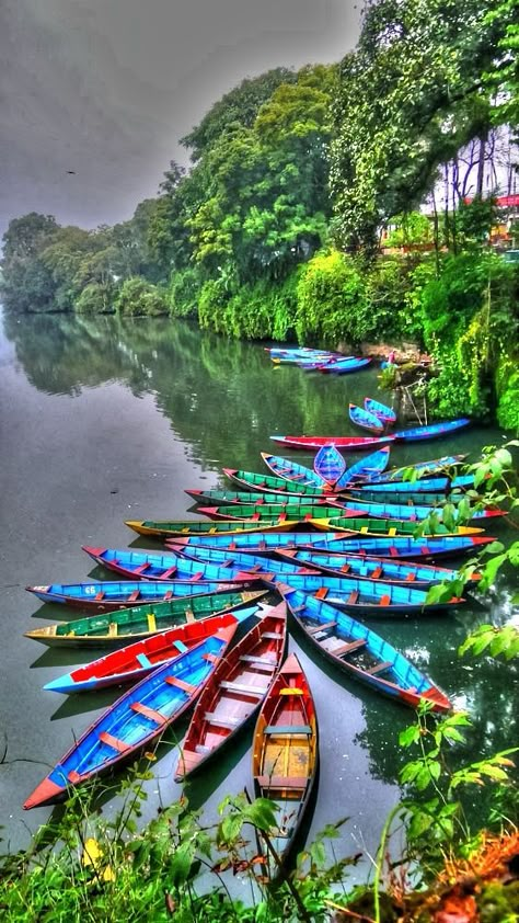 Canoe And Kayak, Canoes, Canoeing, Color My World, Land Art, World Of Color, Color Of Life, Goa, Early Morning