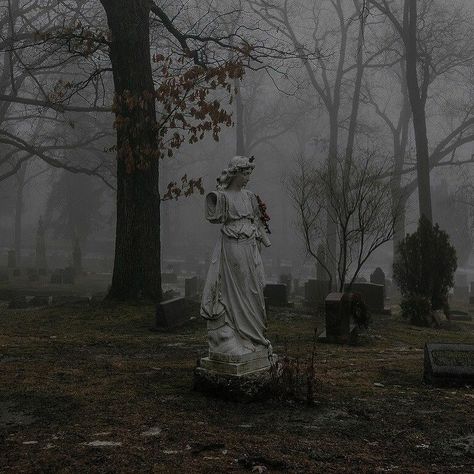 Dark Nature Aesthetic, Angel Aesthetic, Southern Gothic, Gothic Aesthetic, Beautiful Dark Art, Dark Academia Aesthetic, Gothic Architecture, Dark Places, Dark Ages