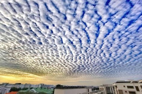 Singapore wakes up to blanket of altocumulus clouds on Sunday morning, Singapore News & Top Stories - The Straits Times Altostratus Clouds, Altocumulus Clouds, Flying Lessons, In The Beginning God, Clouds Photography, Winter Pictures, Water Droplets, Change In, Beautiful Scenery