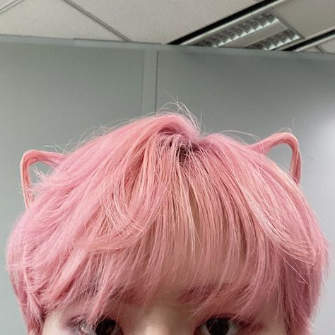 Kpop Hair, Hair Icon, Heart Hair, Pastel Pink Aesthetic, Ear Hair, Pink Themes, Pink Cat, Pastel Aesthetic, Pink Aesthetic