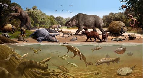 Cenozoic Era, North American Wildlife, Prehistoric Wildlife, Prehistoric World, Terra Nova, Ancient Animals, Animal Science, Paleo Art, Extinct Animals