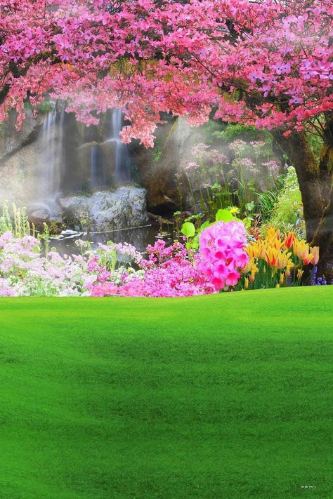 Green Grass Backdrop, Waterfall Background, Wedding Photo Background, Studio Photography Backdrop, Leaves Photo, Photoshop Backgrounds Backdrops, Photoshop Digital Background, Photography Studio Background, Blur Photo Background