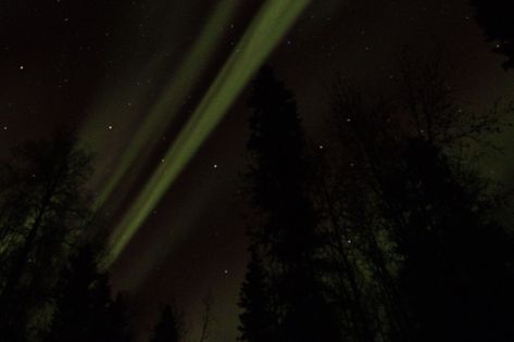 Northern lights 🌌 #northenlights #northernlight #northern #northernlightsphotos #alaskanorthernlights #alaskalights #alaskanorth #alaskan #alaska #alaskalife #alaskaphotography #alaskaliving #photo #photography #photographer #photos #photo #northernlightsphotography Dark Alaska Aesthetic, Frozen Wasteland, Alaska Aesthetic, Photo Photography, Aliens, Alaska, Northern Lights, Frozen, Photographer