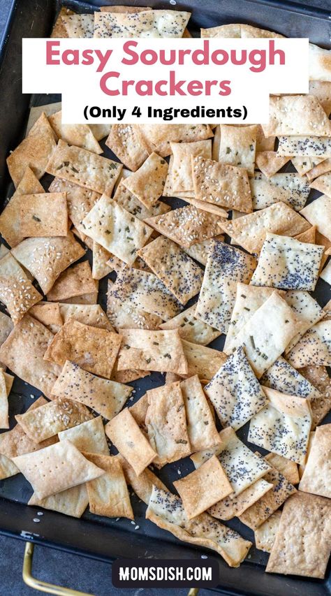 Making your own homemade sourdough discard crackers has never been easier. With only four ingredients, these crackers come together in no time at all. Sourdough Discard Crackers, Discard Crackers, Homemade Crackers Recipe, Sourdough Crackers, Easy Sourdough, Homemade Sourdough, Sourdough Starter Recipe, Homemade Crackers, Sourdough Discard