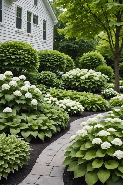 20 Hydrangea And Hostas Landscaping Combinations - Toolz Geek Hydrangea Landscaping Around House, Hostas Front Yard, Shade Hydrangea Front Yards, Hampton Style Landscaping, Flowering Landscape Ideas, Day Lily Garden Ideas Flower Beds, Hosta Landscaping Ideas, New Jersey Landscaping Ideas, Lavender And Boxwood Landscaping