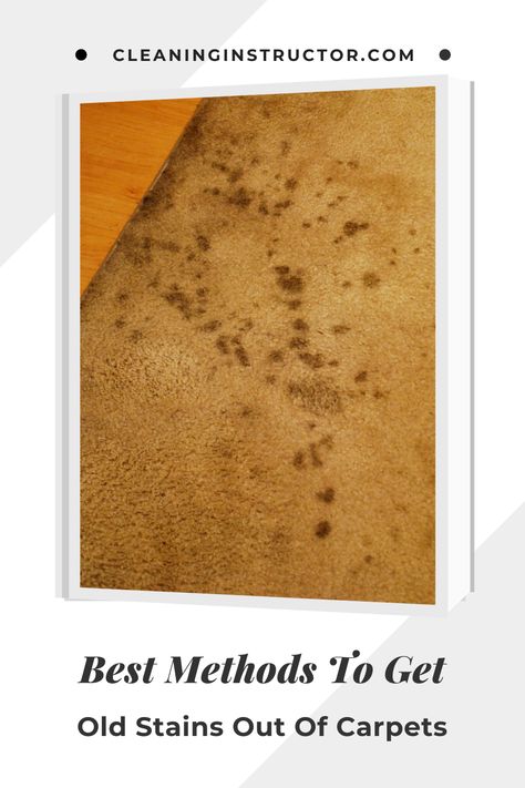 Diy Carpet Stain Remover, Cleaning Carpet Stains, Diy Stain Remover, Carpet Deodorizer, Clean Carpet, Stain Remover Carpet, Netflix Codes, Removing Carpet, Stain Removers