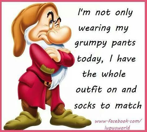 Grumpy Character, Snow White And 7 Dwarfs, Grumpy Pants, Disney Autograph Books, Funny Good Morning Memes, Snow White 7 Dwarfs, Disney Autograph, Autograph Book Disney, Funny Day Quotes