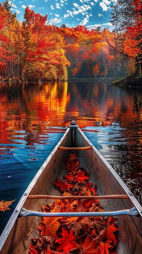 Boats Wallpaper, Boat Wallpaper, Unique Photos, Enjoy The Journey, Autumn Magic, Autumn Lights, Trending Pins, Pretty Pics, Autumn Scenes