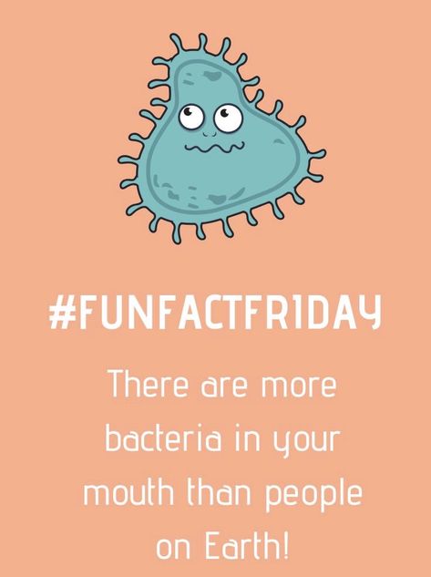 Fun Fact Friday Dental, Dental Facts Did You Know, Dental Funny, Dental Content, Dental Quotes, Dental Social Media, Dental Offices, Dental Fun, Fun Fact Friday