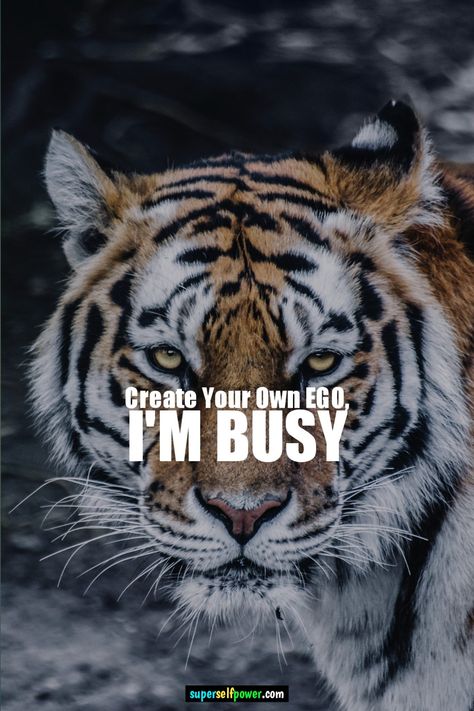 Create Your Own EGO, I'm Busy. Best Self Attitude Quote. Attitude Is Everything King Attitude Quotes, Ego Quotes Attitude, Quote Attitude, Attitude Quotes In English, Tiger Quotes, Attitude Quote, Ego Quotes, Loyalty Quotes, Cheer Up Quotes