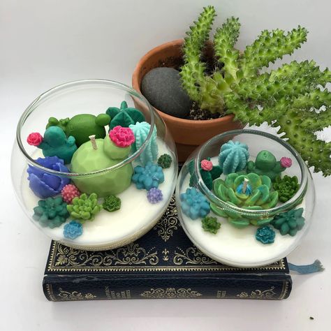 Cacti Terrarium, Gifts For Teenage Guys, Terrarium Candle, Terrarium Garden, Gifts For Plant Lovers, Calming Candles, Cactus Candles, Cactus Terrarium, Succulents Candles