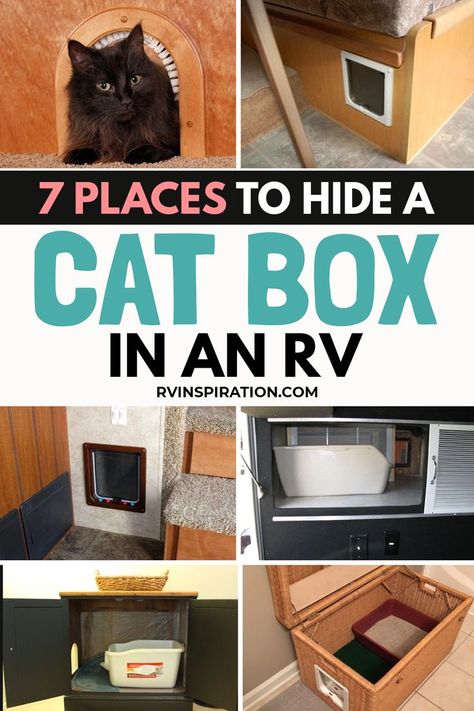 7 Places to Hide a Cat Box in an RV Ways To Hide Litter Boxes, Camper Living Full Time, Litter Box Storage, Litter Furniture, Camper Cat, Cat Litter Box Ideas, Rv Cat, Cat Liter, Litter Box Ideas