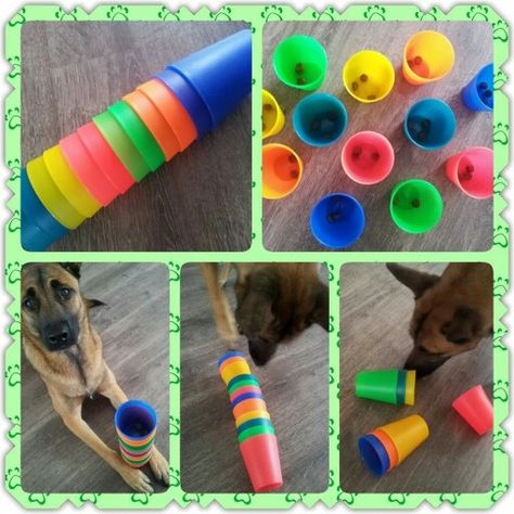 Brain Games For Dogs, Toys For Dogs, Game Place, Brain Game, Diy Dog Toys, Dog Enrichment, Dog Games, Dog Puzzles, Enrichment Activities