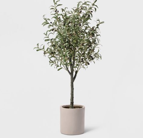 Potted Olive Tree, Faux Trees, Fiddle Leaf Tree, Faux Olive Tree, Fake Trees, Fiddle Leaf Fig Tree, Indoor Trees, Cement Pots, Faux Tree