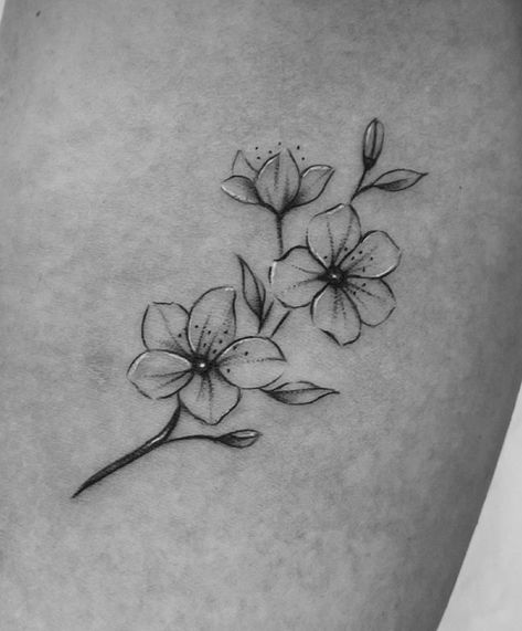 Dogwood Tattoo, Dogwood Flower Tattoos, Jasmine Tattoo, Flower Vine Tattoos, Arrow Tattoos For Women, Pearl Tattoo, Flor Tattoo, Secret Tattoo, Sakura Tattoo