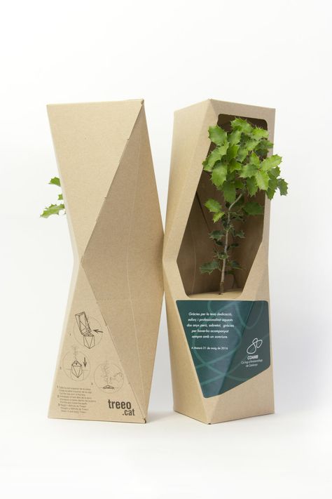 Plants Packaging Design, Plant Packaging Design, Plant Packaging Ideas, Plants Packaging, Eco Packaging Design, Plant Packaging, Kaktus Dan Sukulen, Cardboard Design, Packaging Design Trends